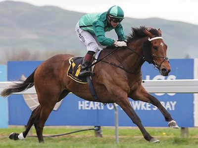 Preview: Gr.1 Memsie Stakes 2019 ( Horses, Racecard, 2018 Vi ... Image 3