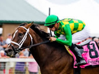 Arklow Goes Up Against Factor This In Kentucky Turf Cup Image 1