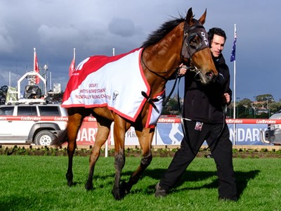 Nicconi Sprinter Secures Group Two Win Image 1