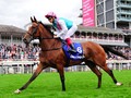 Magical to Tackle Enable After Irish Champion Stakes Victory