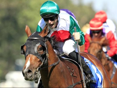 Castelvecchio On Target For Golden Rose Image 1