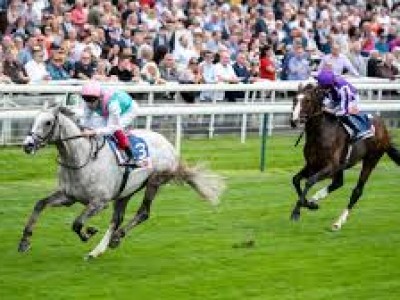 Review: Gr.1 St Leger Stakes 2019 ( Horses, Racecard, 2019 V ... Image 1