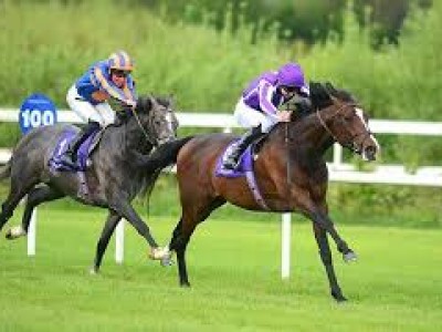 Review: Gr.1 Irish St Leger 2019 ( Horses, Racecard, 2019 Vi ... Image 1