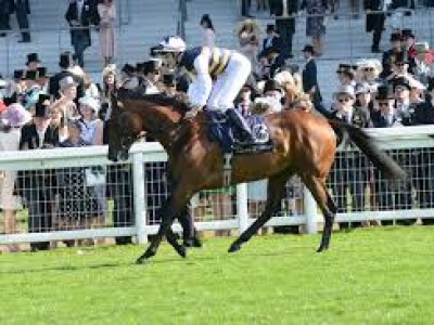 Review: Gr.1 Irish St Leger 2019 ( Horses, Racecard, 2019 Vi ... Image 2