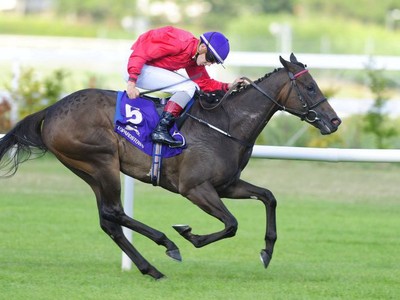 Gr.1 Winner Skitter Scatter Retired Image 1