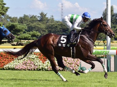 Kiseki Third in Arc Trial - Prix Foy Image 1