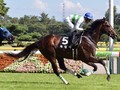 Kiseki Third in Arc Trial - Prix Foy