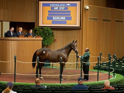 Desormeaux Buys Outwork Colt At Keeneland For US$220K Image 1