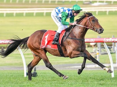 Preview: Epsom Handicap 2019 ( Horses, Racecard, 2019 Video) Image 2