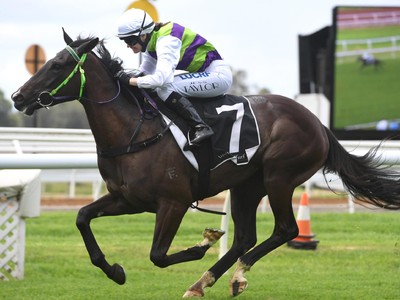 Preview: Gr.1 Flight Stakes 2019 ( Horses, Racecard, 2019 Vi ... Image 2