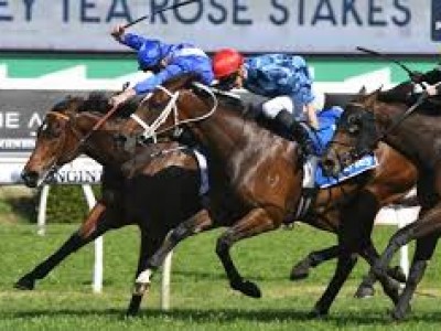 Review: Gr.1 Flight Stakes 2019 ( Horses, Racecard, 2019 Vid ... Image 1