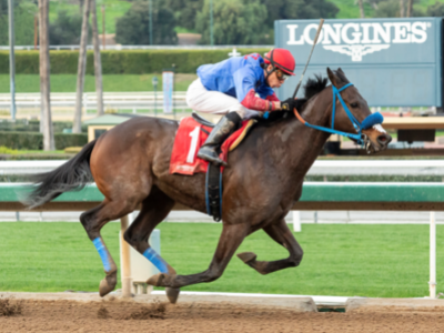 Breeders Cup Classic Field Enhanced With Mongolian Groom Image 1