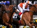 After The Dust Settles - Gr.1 Melbourne Cup Review