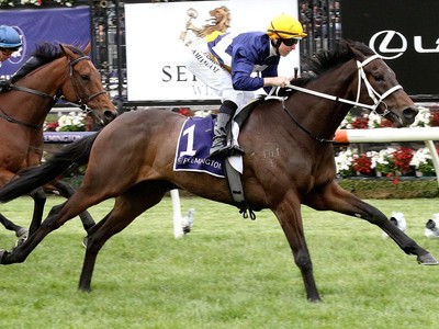 Zipping Classic Could Be Savvy Decision For Cranbourne Train ... Image 1