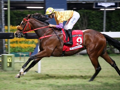 Playa Del Puente and Extra Brut Headline The HK Derby Image 1