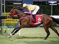 Playa Del Puente and Extra Brut Headline The HK Derby