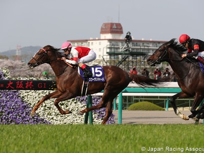 Preview: Gr.1 Japan Cup 2019 ( Horses, Racecard, 2019 Video) Image 4