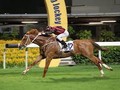 Gr.2 Jockey Club Races Showcase Hong Kong Horses At Their Ready