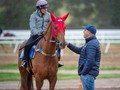 O’Brien and His Melbourne Cup Winning Vow And Declare