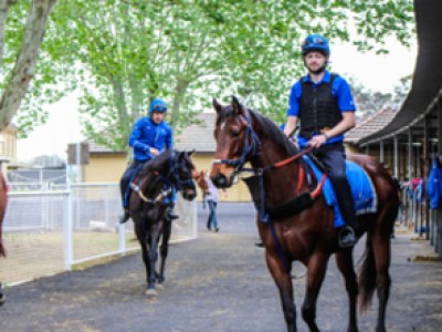 Godolphin Joins The Everest Race Image 1