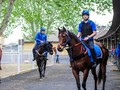 Godolphin Joins The Everest Race