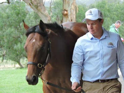 Three Bridges Thoroughbreds - Being Successfully Family_Pete ... Image 2