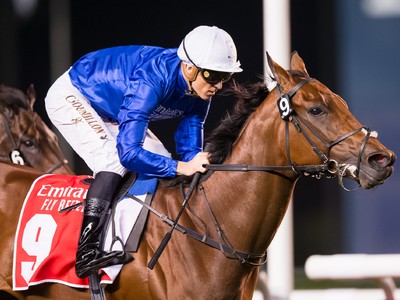 Saeed Bin Suroor’s Thunder Image 2