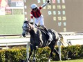 Bright Win For Japanese in Hong Kong Cup