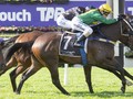 In Conversation With Bernadette Hamill Stud Manager & Yarradale ‘Guru’, Yarradale Stud Breeding The Best Of Black Type Winners At Yarradale