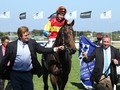 The Flag Of South African Bred Thoroughbreds Flying High At Ascot Stud