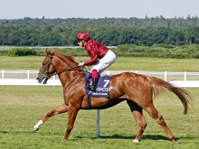 Fred Brons: Blueprints To Heversham Park Farm's Sales Succes ... Image 1