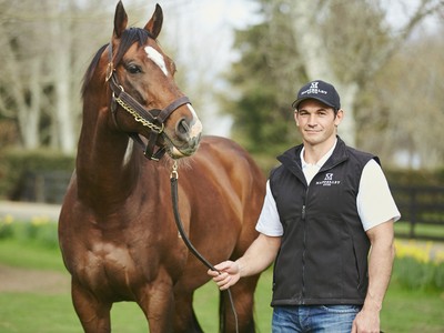 Mapperley Stud: Making The Brand A Thoroughbred Leader Image 2