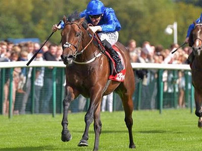 World Champion sprinter Harry Angel to stand in Darley Austr ... Image 1