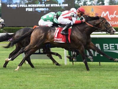 Bricks and Mortar All Set To Start Stud Career in Japan Image 1