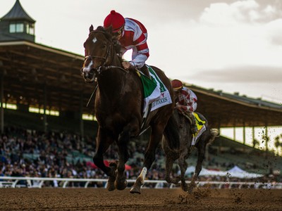 Omaha Beach Heading Towards His Last Race - The Gr.1 Pegasus ... Image 1