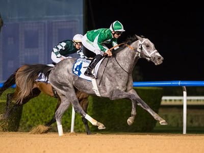 Preview: The World Has Descended At Meydan Image 1