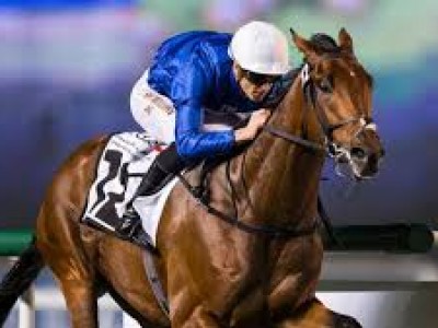 Preview: The World Has Descended At Meydan Image 3