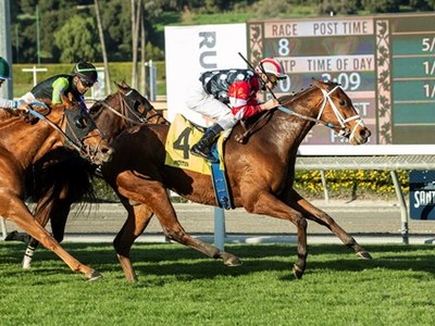 Texas Wedges Wins Big In The Gr.2 Joe Hernandez Image 1