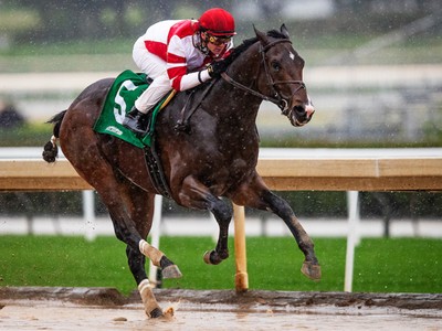 Omaha Beach Back On Track For Pegasus After Foot Issue Image 1