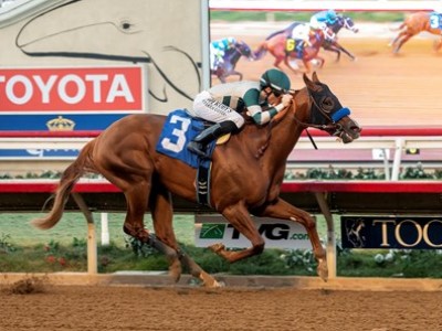 Baffert May Have 'none' For Pegasus World Cup Image 1