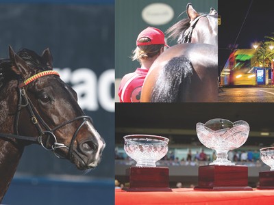 2020 Adelaide Yearling Sale Online Catalogue Released Image 1