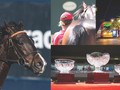 2020 Adelaide Yearling Sale Online Catalogue Released