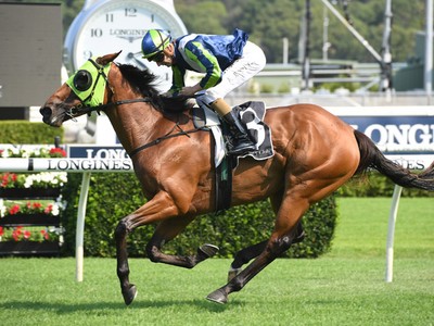 Luvaluva Connections Celebrate Back to Back Stakes Successes Image 1