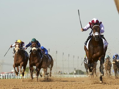 Veteran UAE Trainer, Doug Watson Celebrates 600th Win Image 2