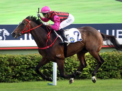 Waikuku To Go For Gold In Gr.1 Stewards’ Cup Image 1