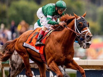 Breeders Cup Classic Winner Vino Rosso Wins Older Dirt Male  ... Image 1