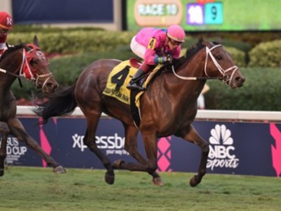 Preview: Pegasus World Cup Turf 2020 (Race Video, Runner Lis ... Image 1