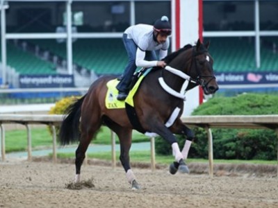 Preview: Pegasus World Cup (Race Video, Runner list, Race in ... Image 2