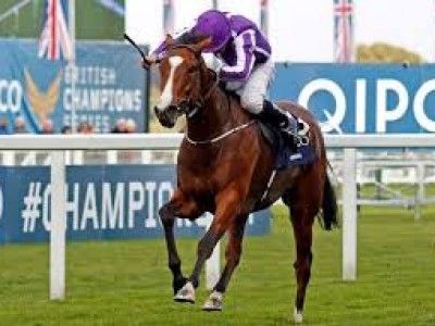 Group One Winner Minding Delivers Deep Impact Filly Image 1