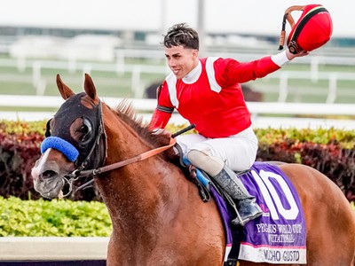 Review: Pegasus World Cup 2020 (Race Video, Runner list, Rac ... Image 1